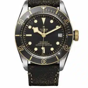 Tudor Black Bay Heritage S&G 79733N 41mm (2019)
