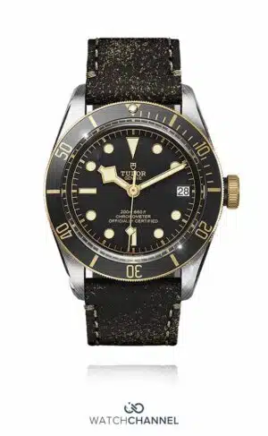 Tudor Black Bay Heritage S&G 79733N 41mm (2019)
