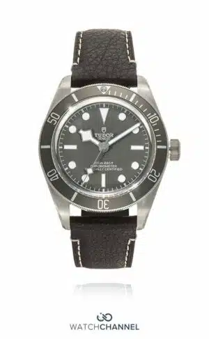 Tudor Black Bay Fifty Eight 79010SG 39mm (2021)