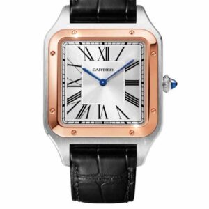 Cartier Santos DuMont W2SA0017 46.6 mm x 33.9 mm (2024)