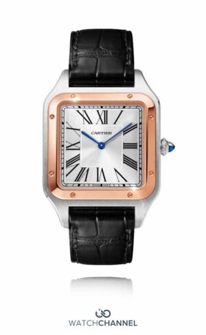 Cartier Santos DuMont W2SA0017 46.6 mm x 33.9 mm (2024)