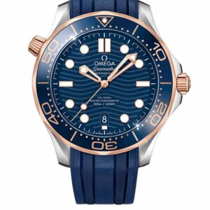 Omega Seamaster Diver 300m 210.22.42.20.03.002 42mm (2018)