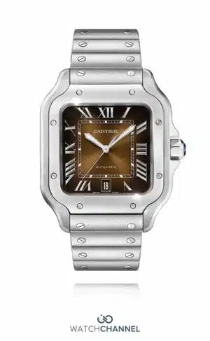 Cartier Santos de Cartier 39.8mm x 47.5mm WSSA0064 (2024)