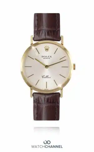 ROL-1331-STOCK