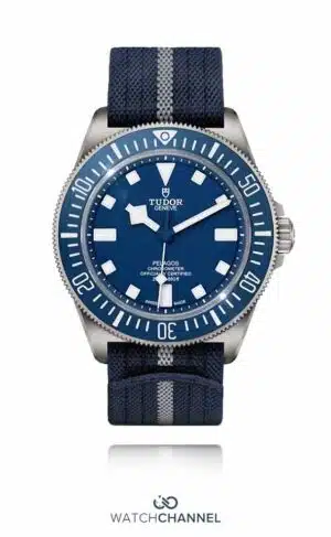 Tudor Pelagos 42mm 25707B/23 (2023)