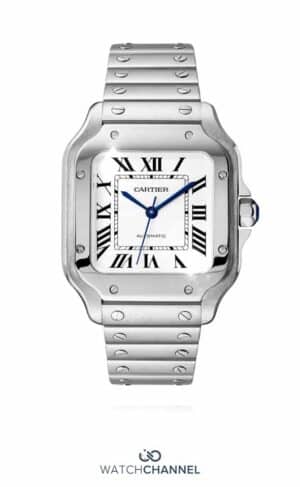 Cartier Santos WSSA0029 41.9 mm x 35.1mm (2023)